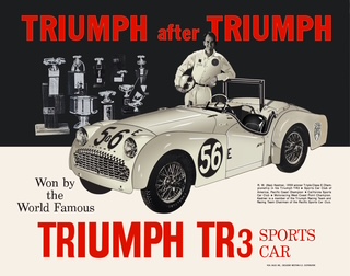 Kas Kastner "Triumph After Triumph" Poster